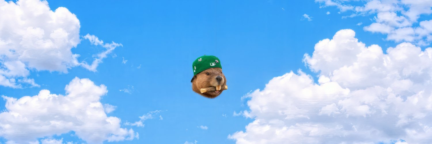 PeereiraCastor's banner