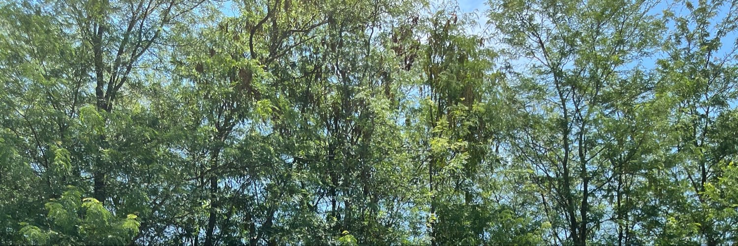 Alexxa🧚‍♀️'s banner