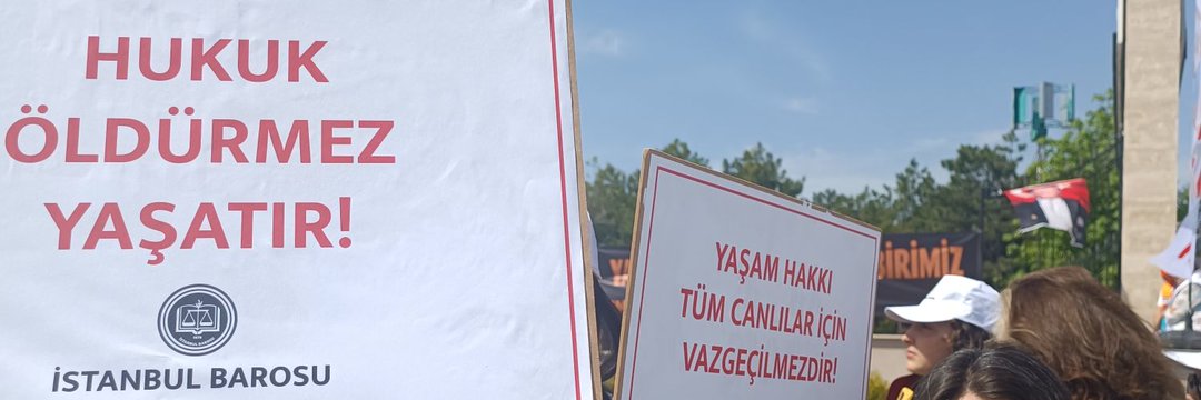 Av_NurMese's banner