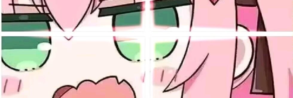 某个屑灰毛's banner