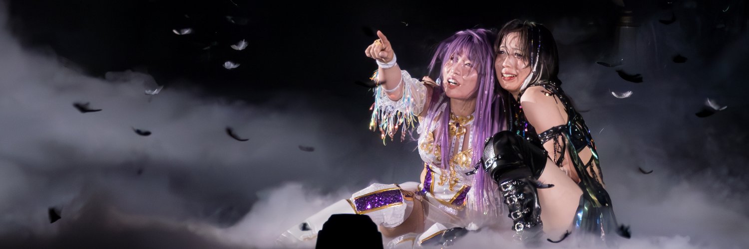 トシ、女子プロレスに元気を貰う人's banner