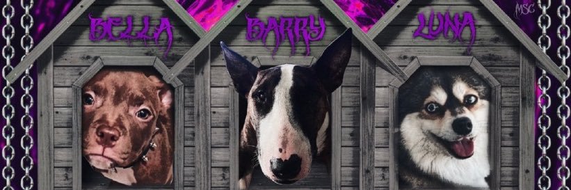 Bella bennett's banner