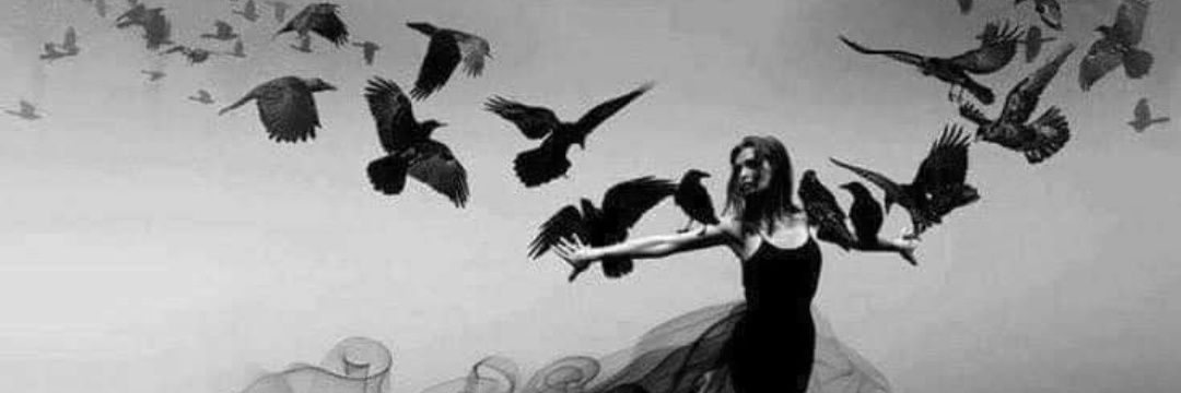 Noshin Farjana Awishy's banner