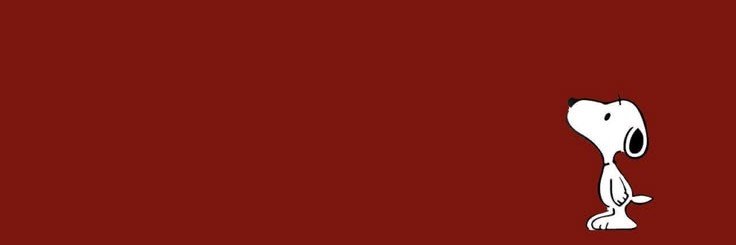 araaa 🎀's banner