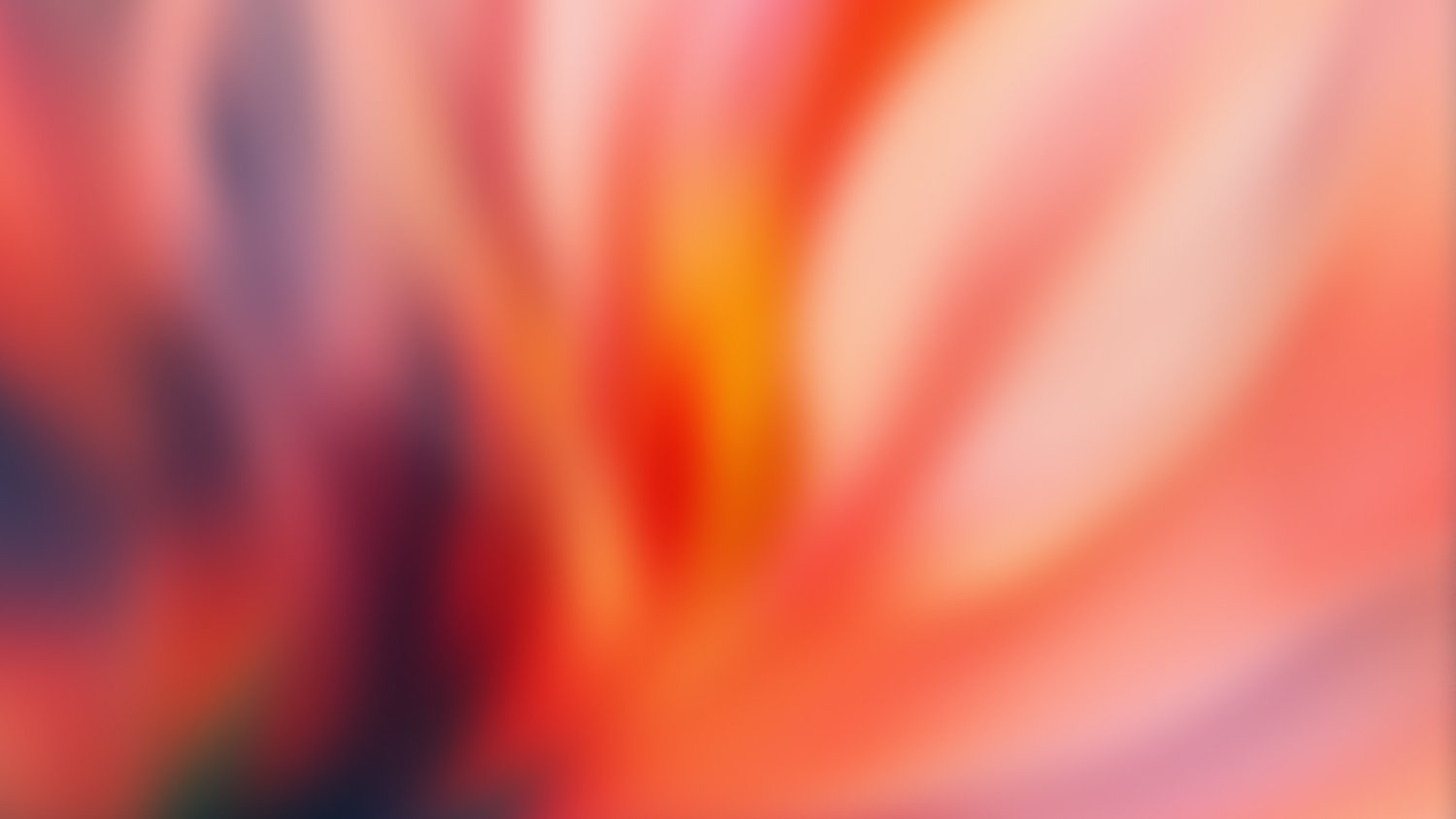 Aurelien's banner