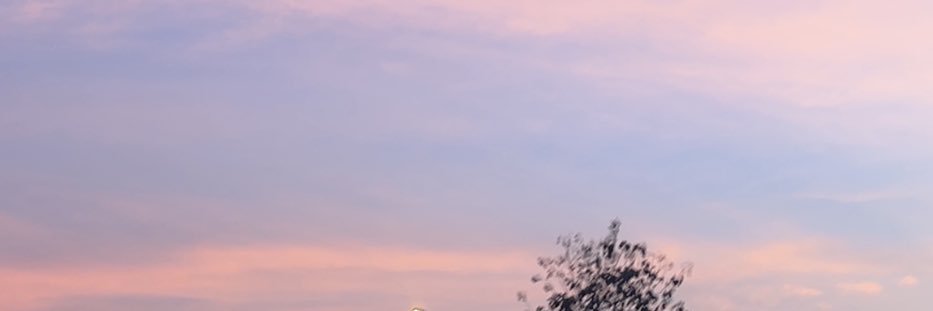 somanyofmelstmysmilebeginwithu's banner