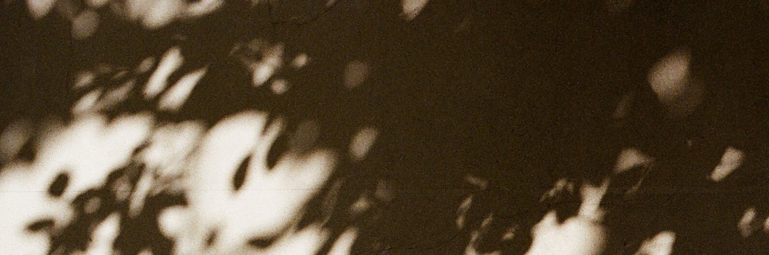 塩𓏸𓈒しお's banner