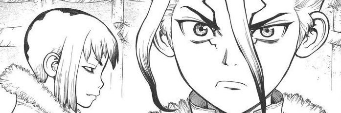 fio's banner