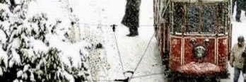 necla 🍒's banner