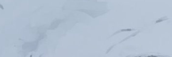ユリ's banner