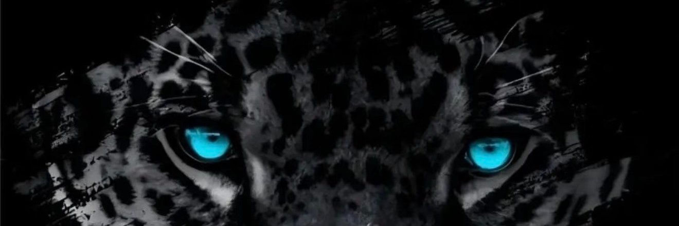 美籍华鱼's banner