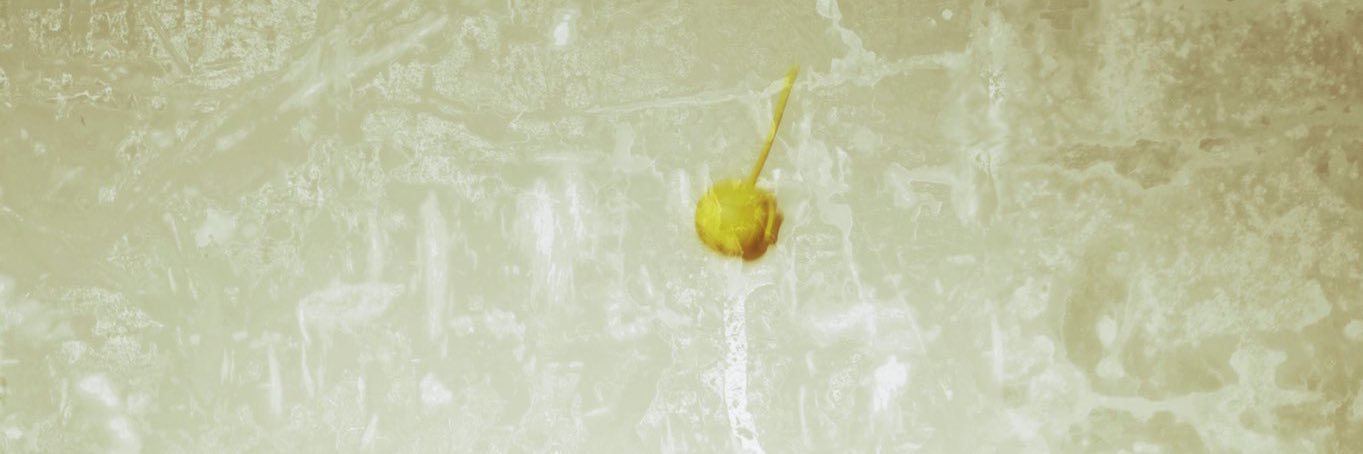 e's banner