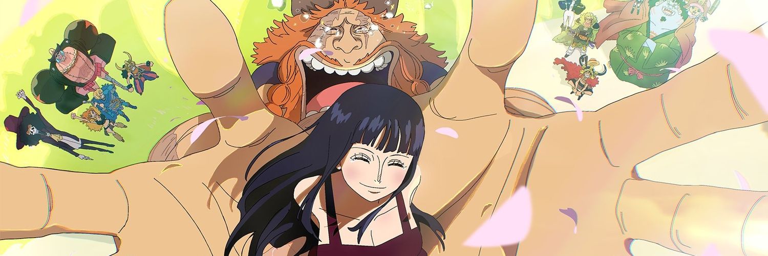 straw hat fuly's banner