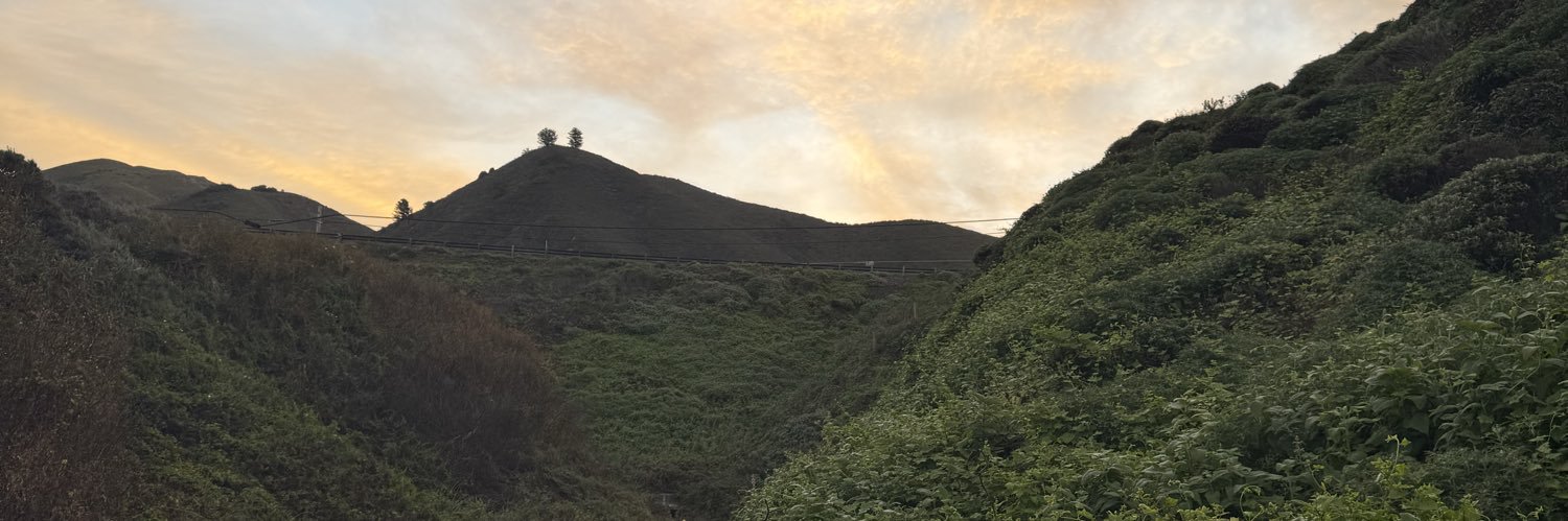 asianbtm's banner