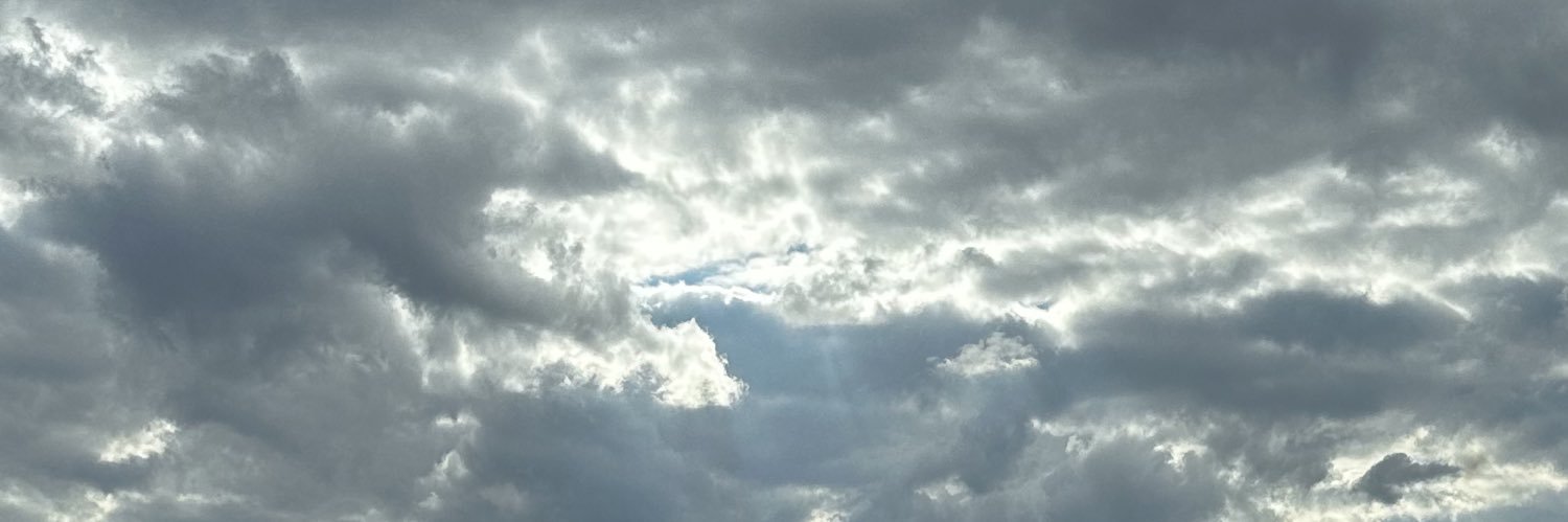 shane ($NIGGA)'s banner
