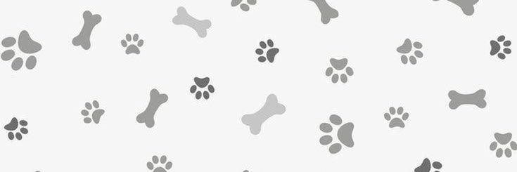 ollie! 🐾's banner