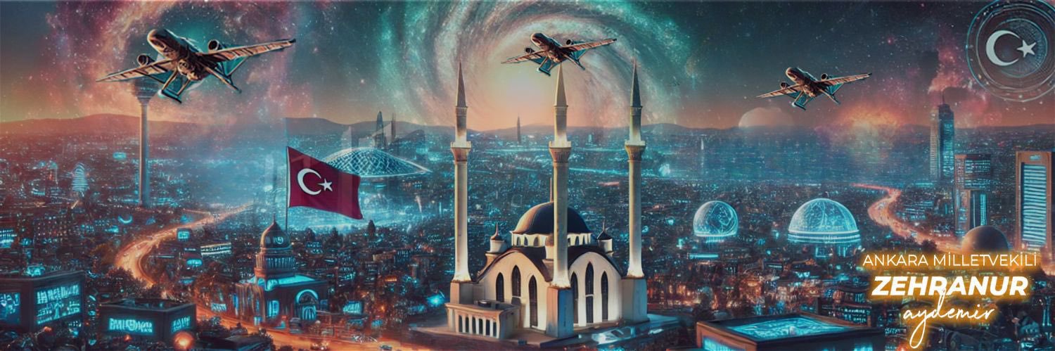 Zehranur Aydemir's banner