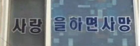로코's banner