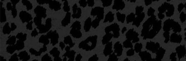 Nikey⛷️'s banner