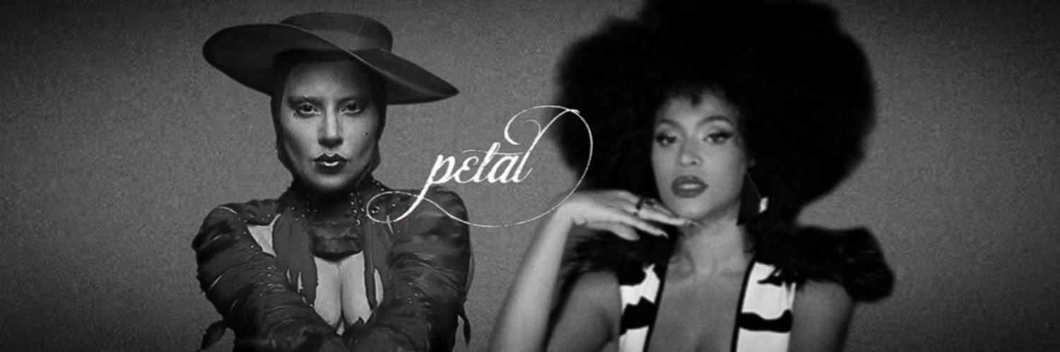 𖤐 mateo knowles | petal ꕤ｡˚⋆'s banner