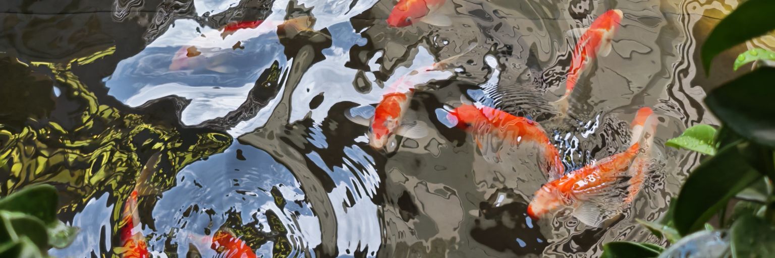 Akatuki's banner