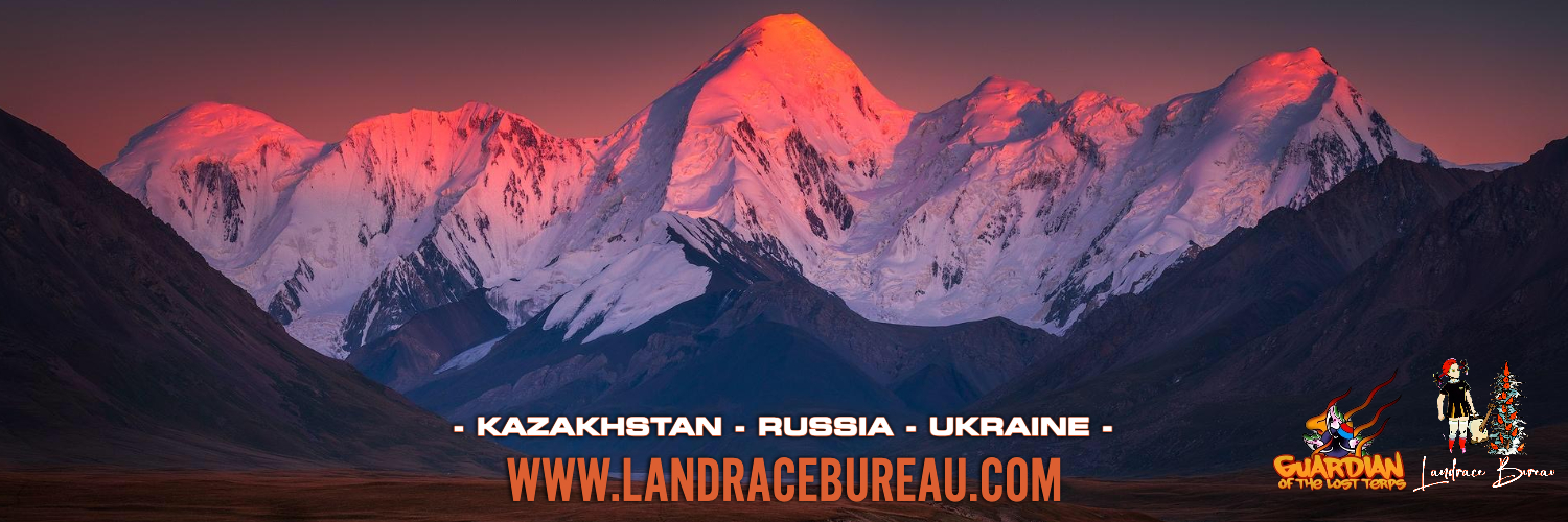 Łаηdrąćę Вureaմ's banner