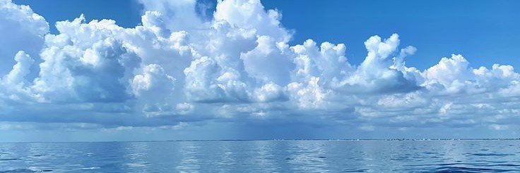 🐟🪸•○Tyler○•|☆ semi inactive ☆|○ 🪸🐟's banner