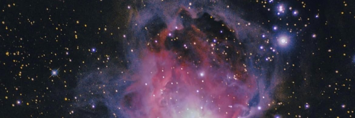 Viviennn's banner