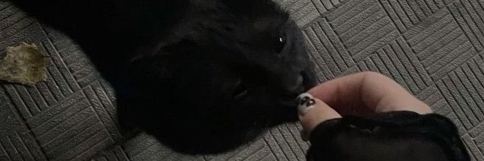 eiby's banner