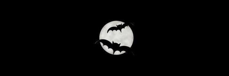 moon's banner