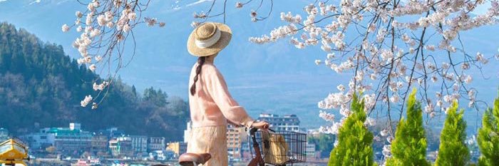 美月🕊️'s banner