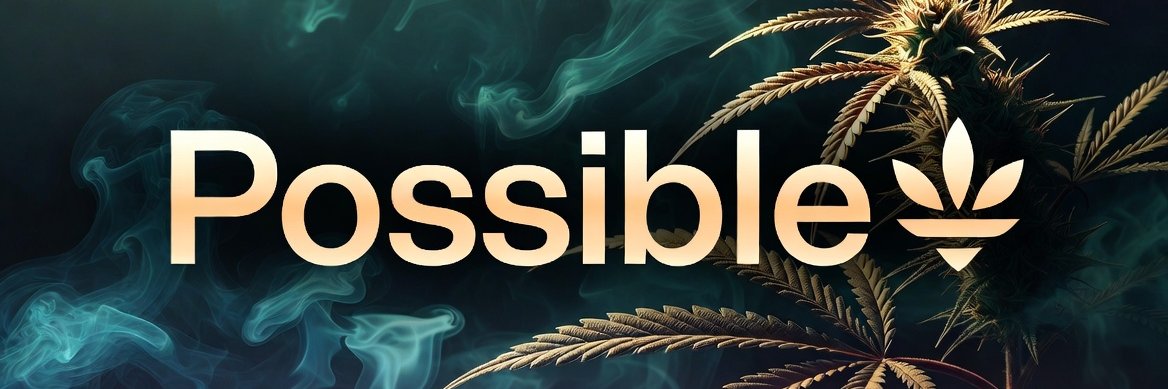 Possible 💥's banner