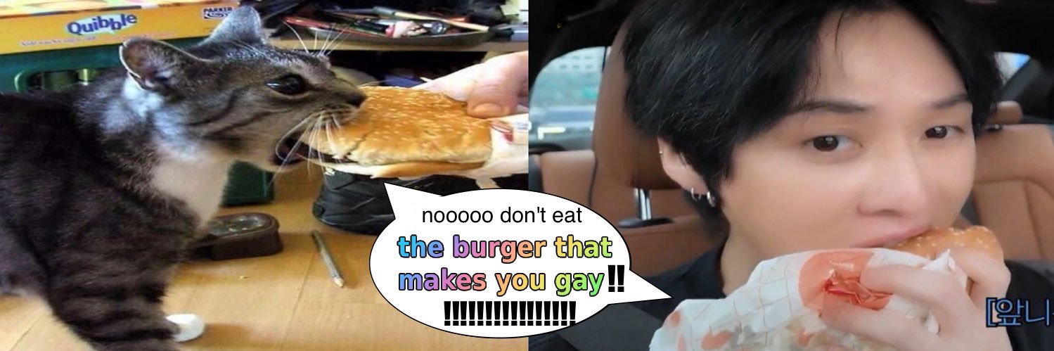 fox ●ᴥ●'s banner
