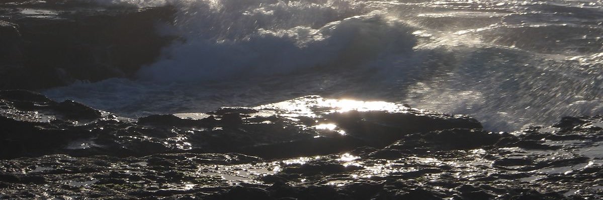 cece 𖦹's banner