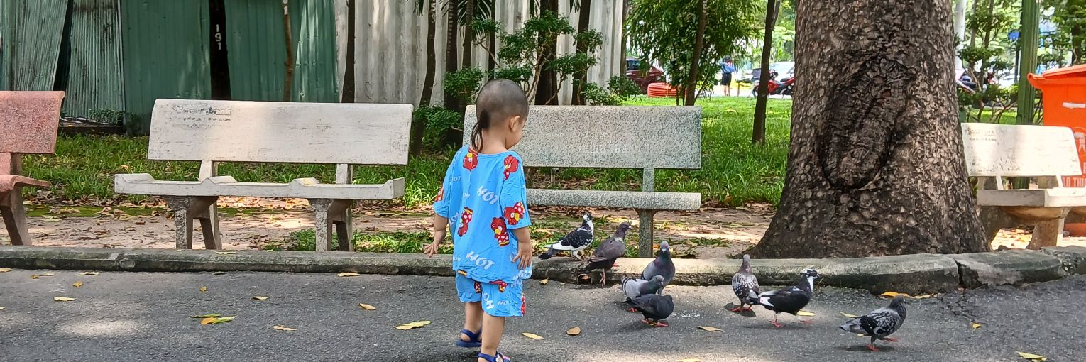 Quốc Trịnh | Pai's banner