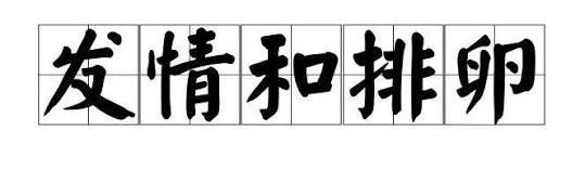 绝望的机长's banner
