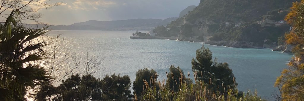 Le Shrub🌳🔥🇺🇦's banner