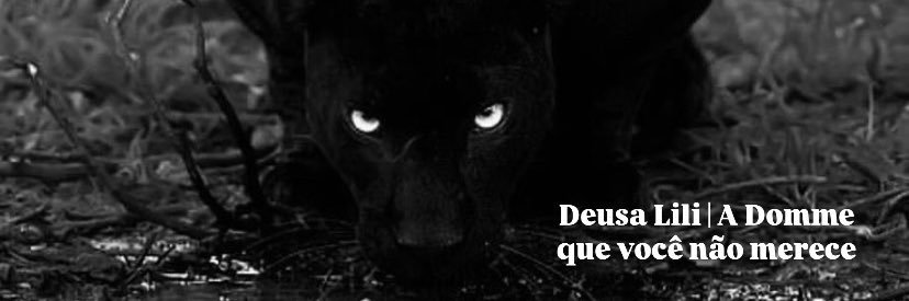 Lili 🐈‍⬛✨ Bday 07/06 🎉's banner
