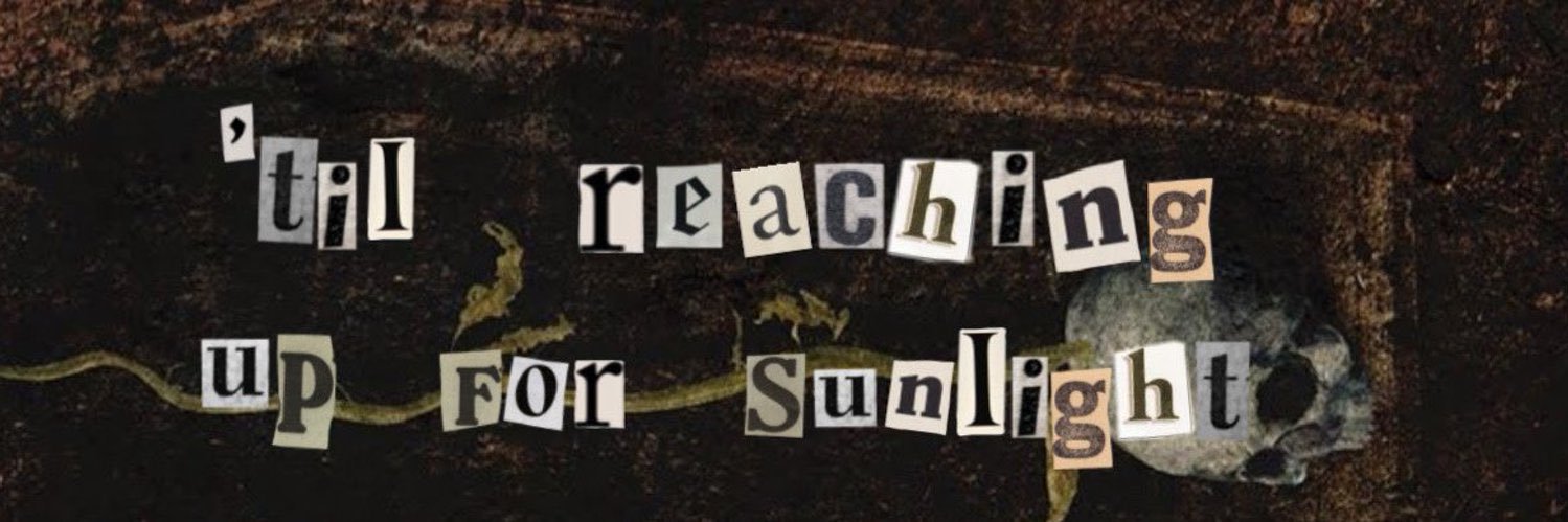 lulli ☾'s banner