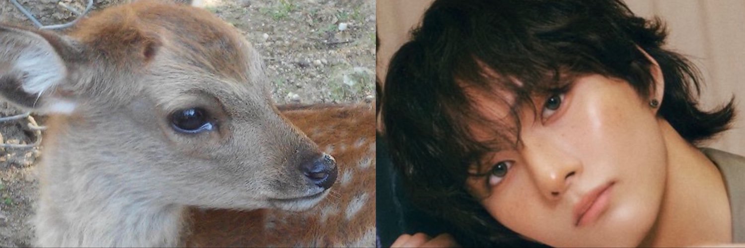 ofelija‧₊ ♪˚🦌's banner