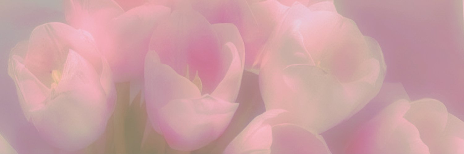 𝐌𝗂𝗅𝗂𝖼𝖺. ʚɞ's banner