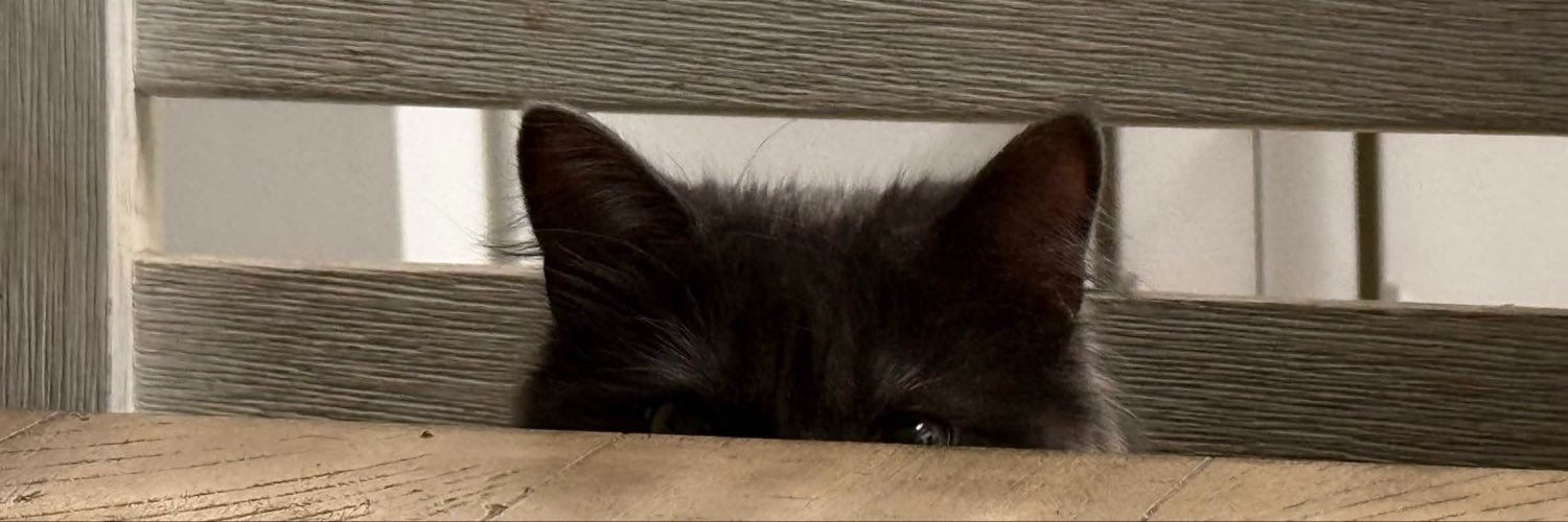 miru's banner