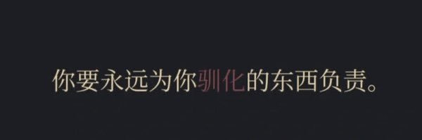 帕恰小珊's banner