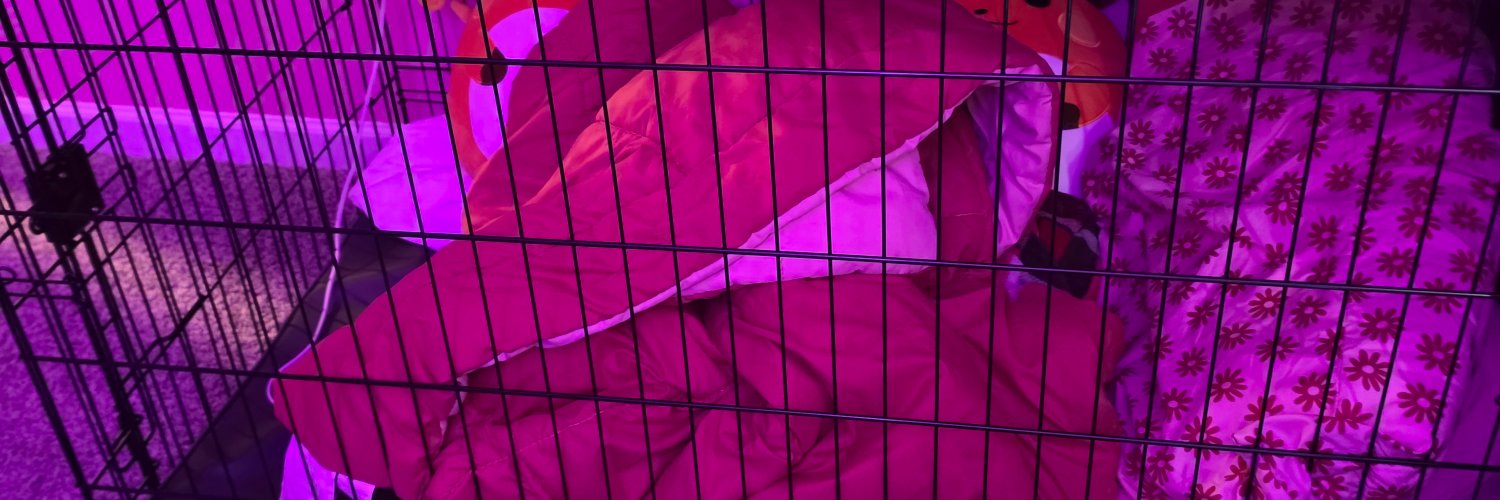 sylvie summers's banner
