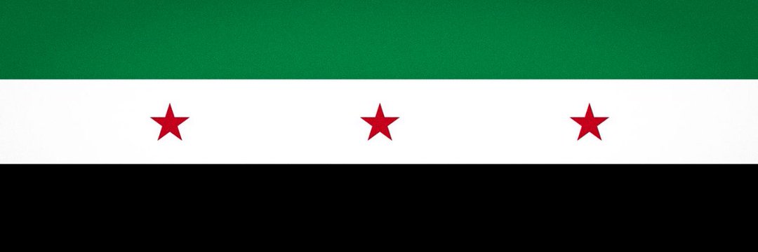 Dania 🇸🇾's banner