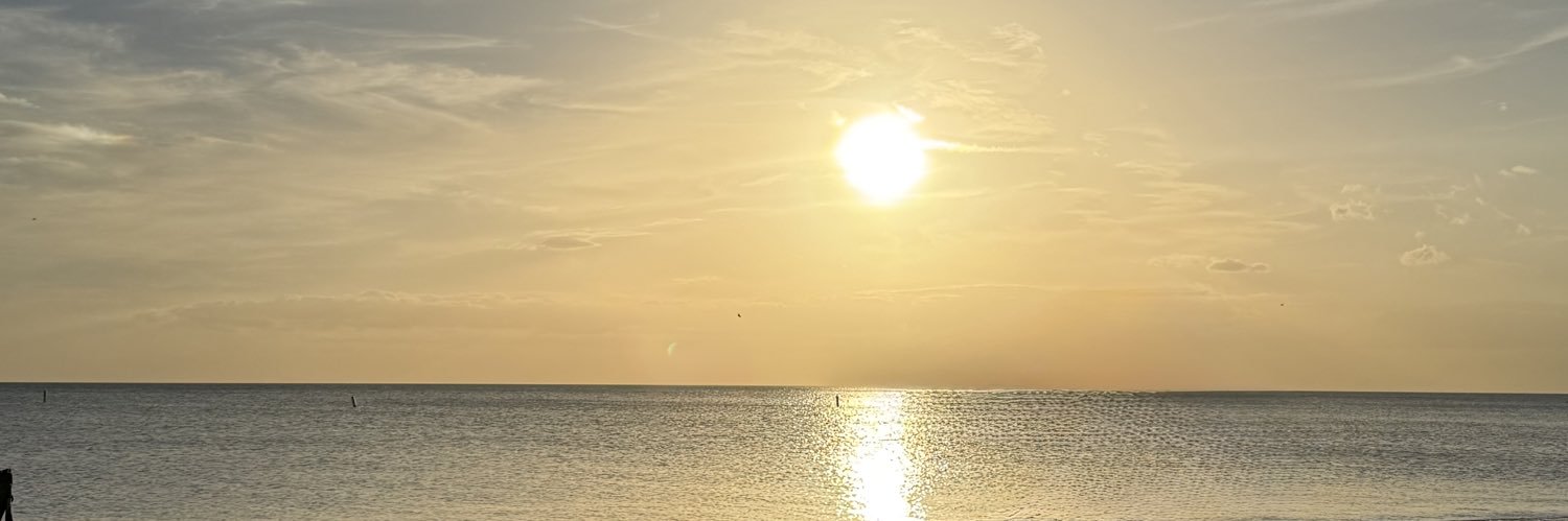 Lana A.'s banner