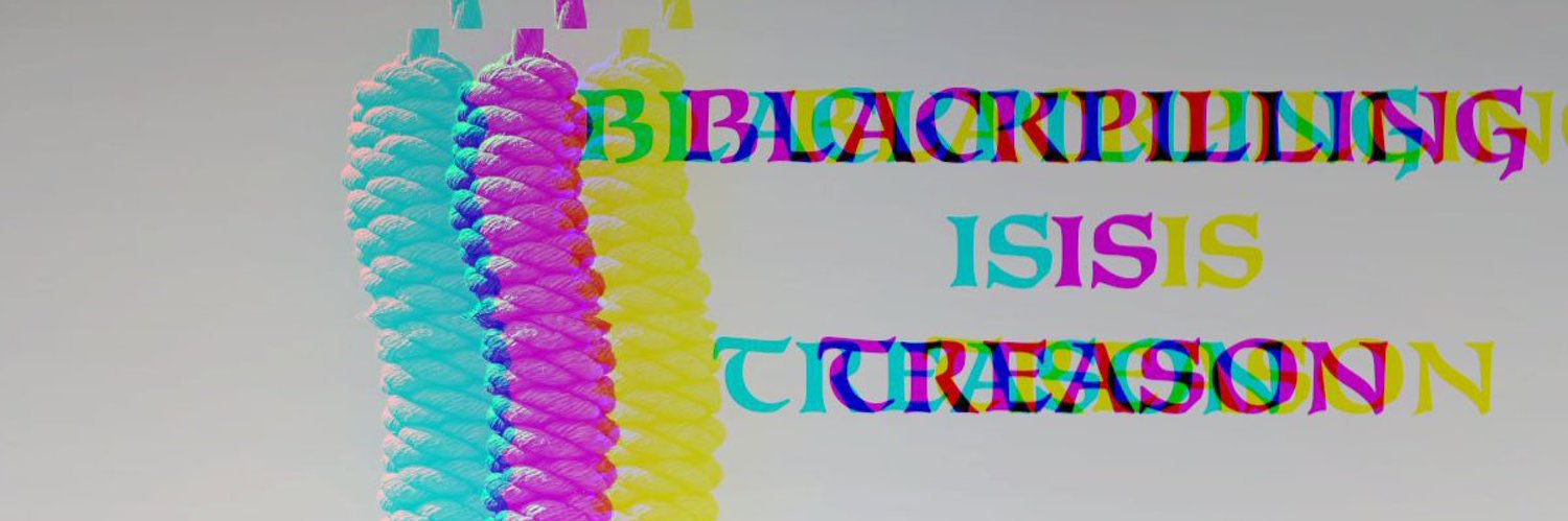⚔️Dubstep Deplorable⚔️'s banner