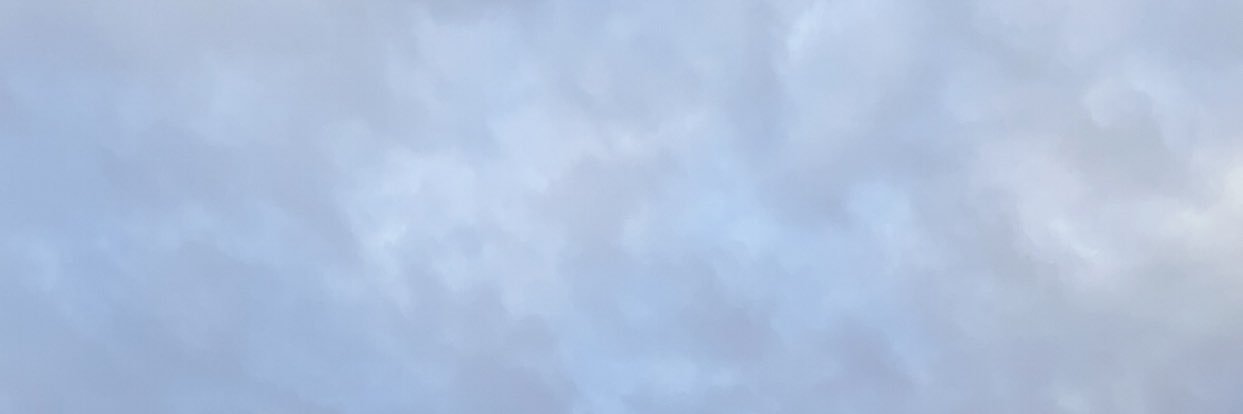 nora's banner