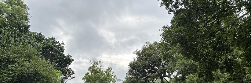 小諾微甜's banner