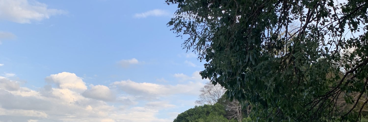 เหมียวน้อยขี้อ้อน (อดีต 4 k )'s banner